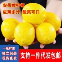 2024四川安岳黃檸檬酸爽健康皮薄多汁奶茶店專(zhuān)用新鮮檸檬爽口